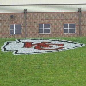 Meet your Posher, Mandy